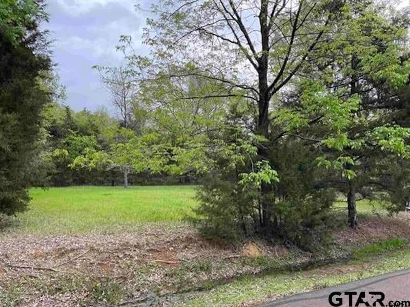 Lots & Land-Other in Mt Vernon