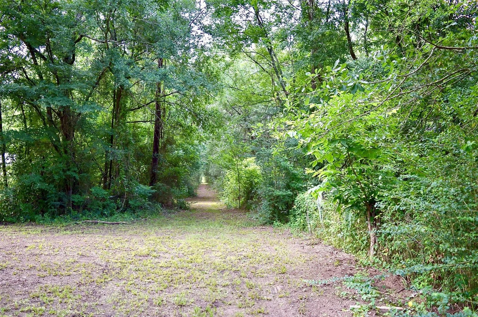 Property from TBD Sharp Road - KW - Montgomery, Texas, 77356
