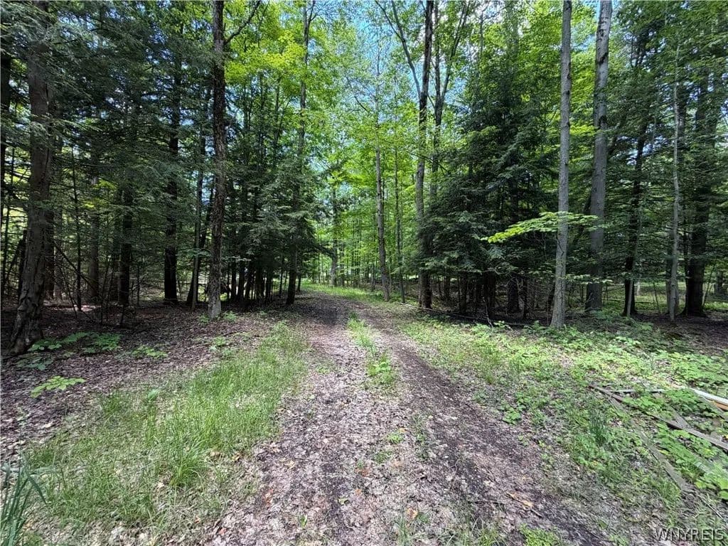 Property from 13800 Pritchard Road - KW - Springville, New York, 14141