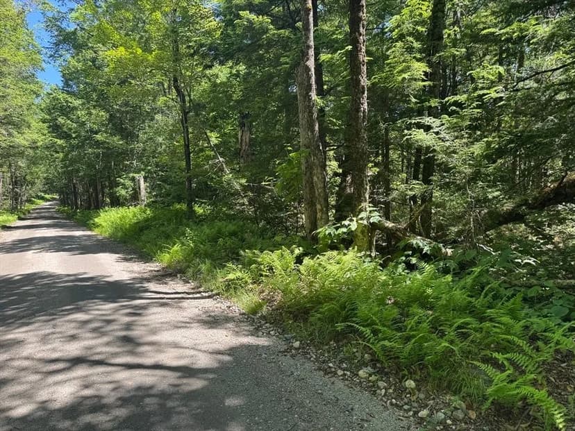 Lots & Land-Other in Ashfield