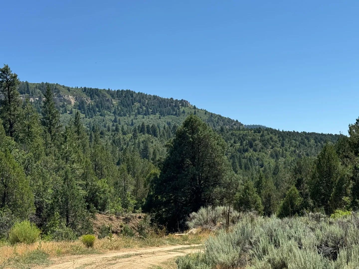 Vacant Land in Orderville - land for sale