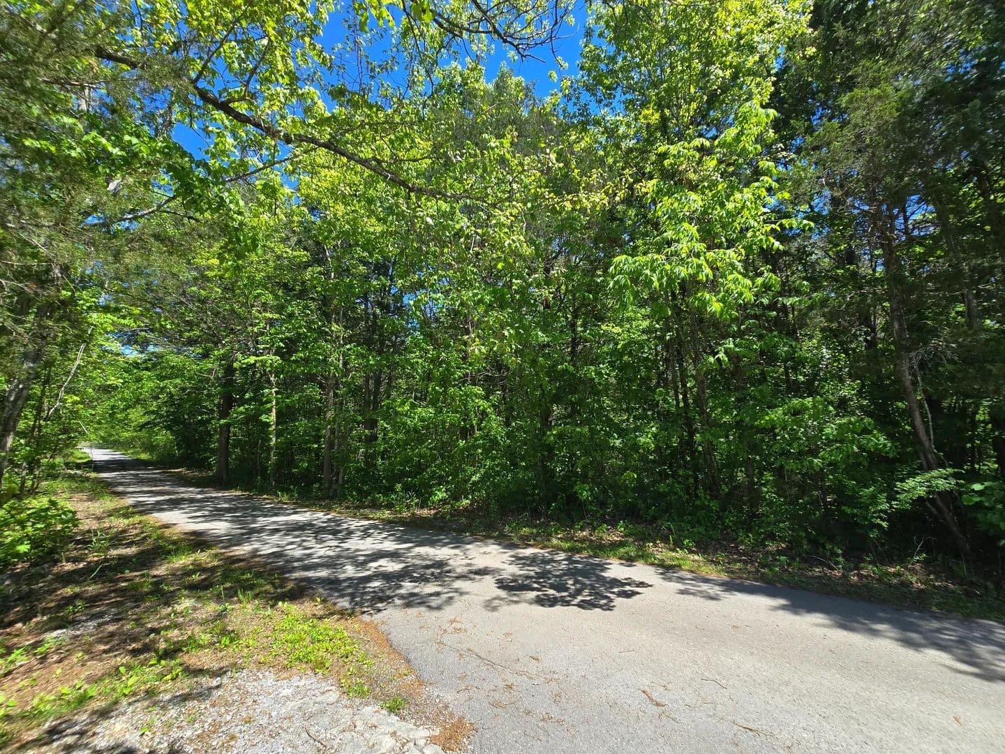 Land -Agricultural (Not Zoned) in Pennington Gap - Pennington Gap, Virginia, 24277