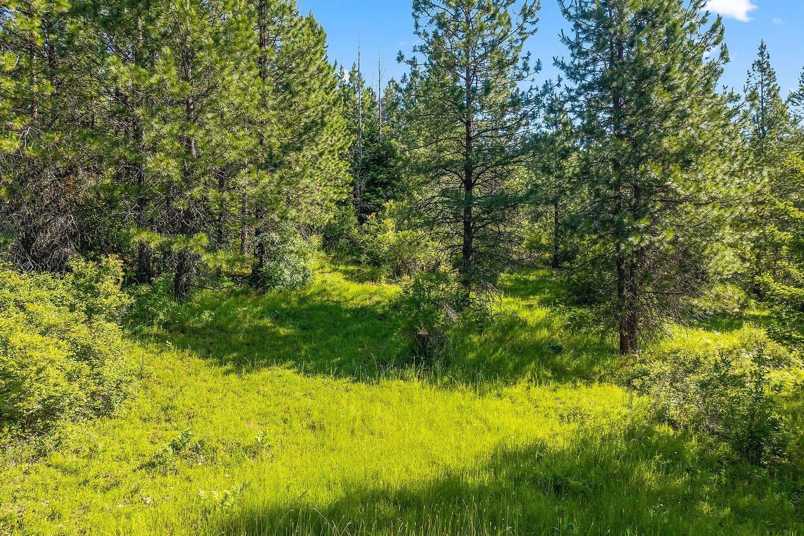 Gold Cup 40 - Priest River, Idaho, 83856