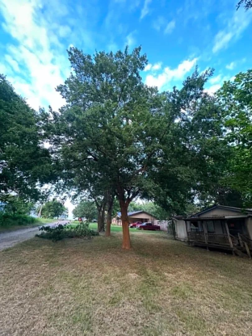 0.34 Acres of Land for Sale in Celeste, Texas - Celeste, Texas, 75423