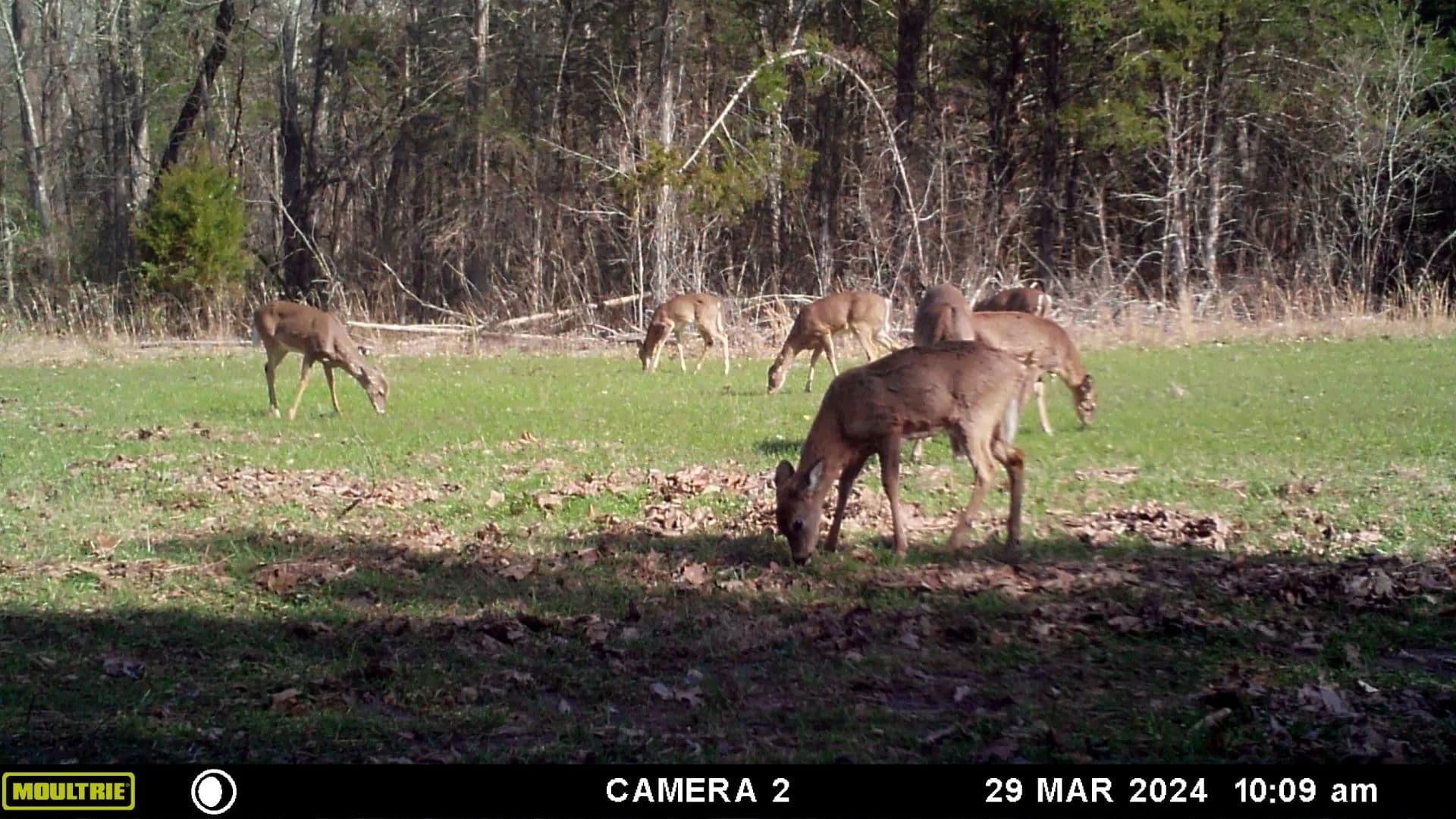 157-Acre Hunting Property in Jonesburg, MO for Sale - Farmstead with Barn, Farmhouse & Pond! - land for sale