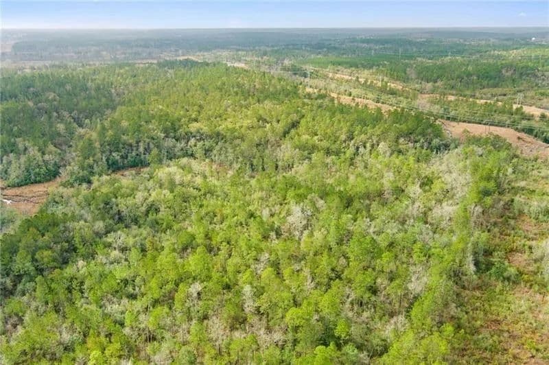 35 Acres of Land for Sale in Mount Vernon, Alabama - Mount Vernon, Alabama, 36560