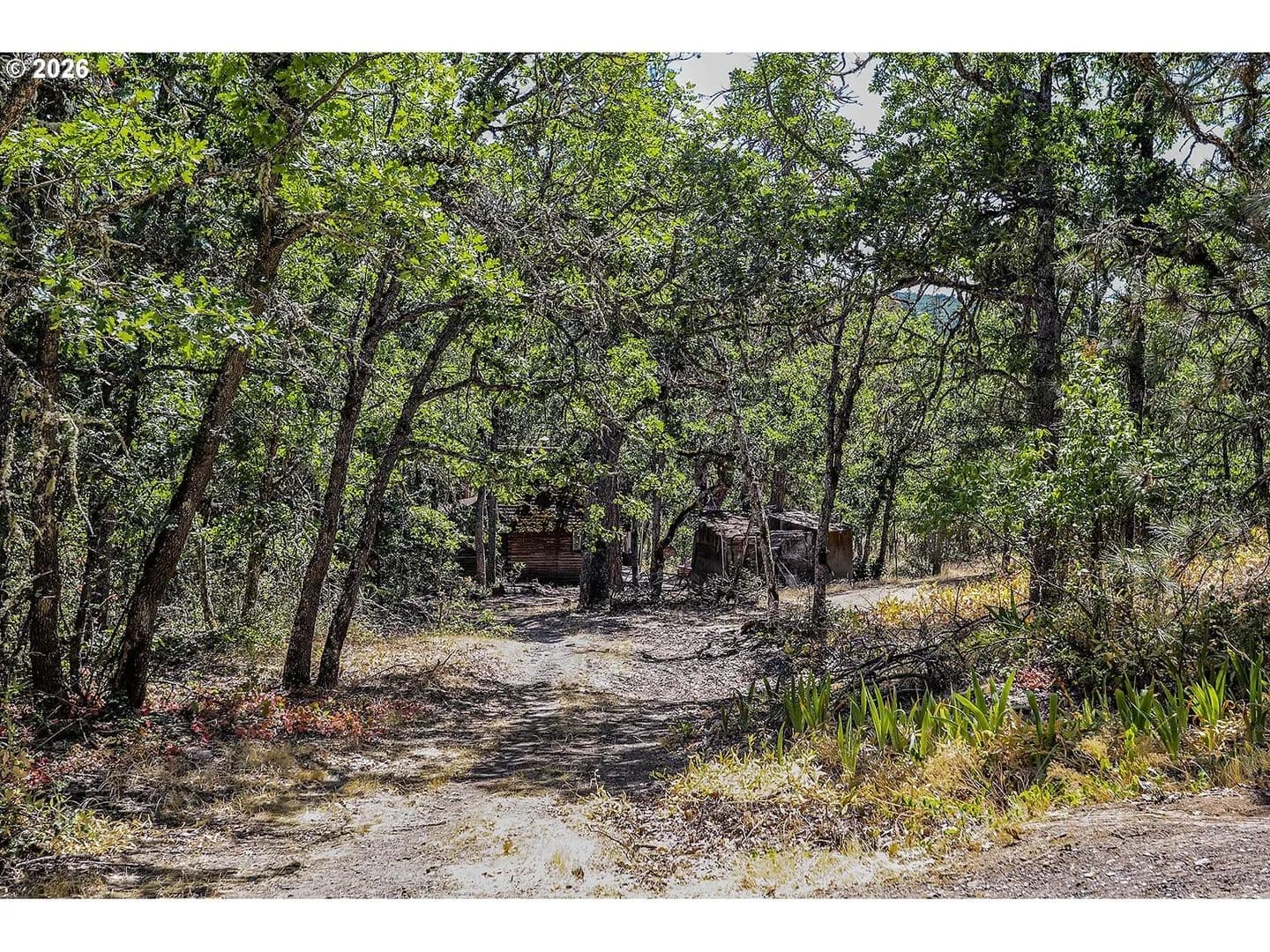 6.84 Acres of Land for Sale in Mosier, Oregon - Mosier, Oregon, 97040