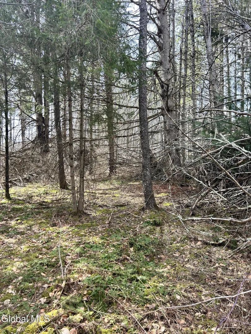 Property from L6.34 Weaver Dam Road - KW - Petersburgh, New York, 12138