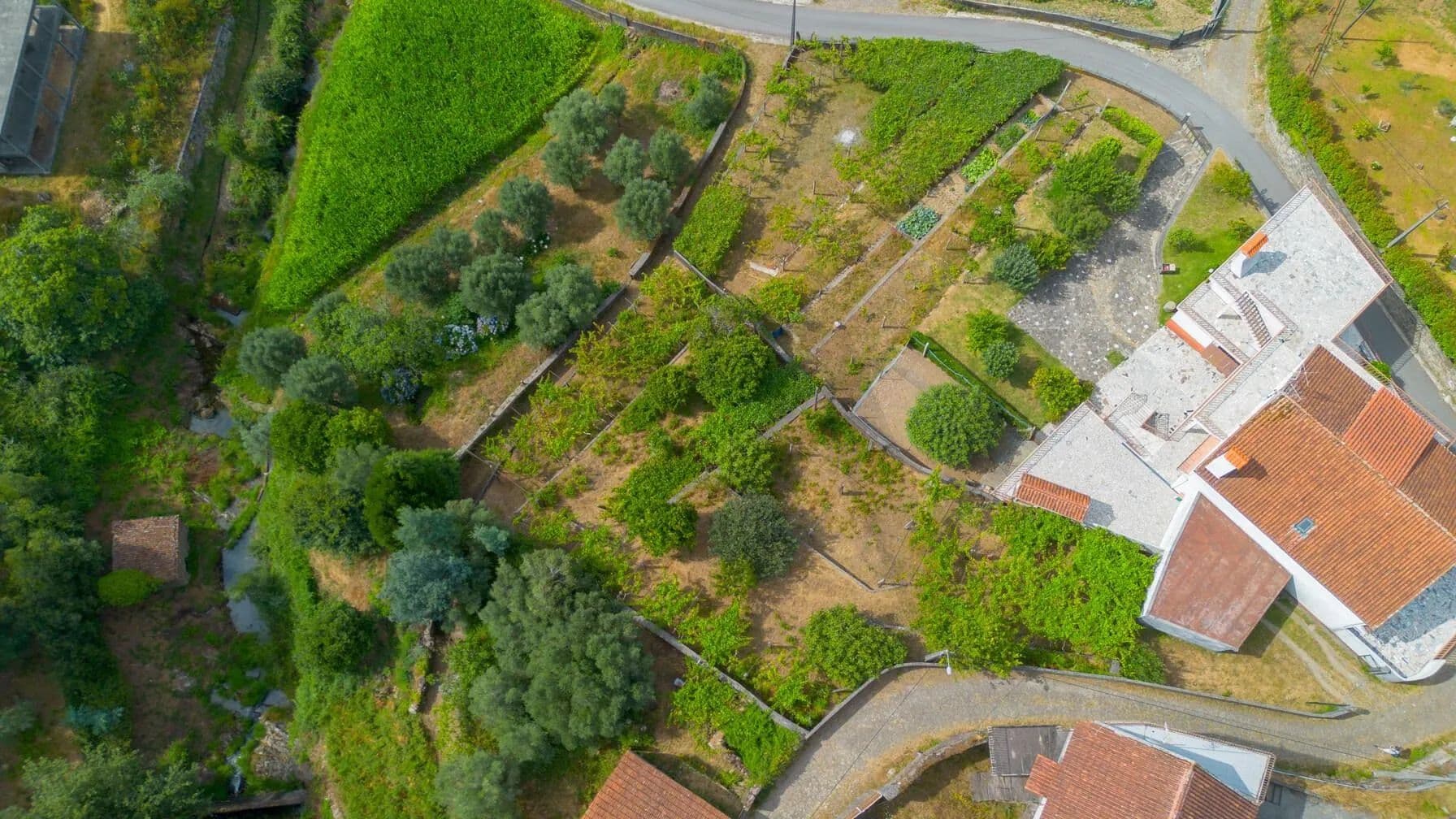 1456 Acres of Land for Sale in Montaria, Viana do Castelo - land for sale