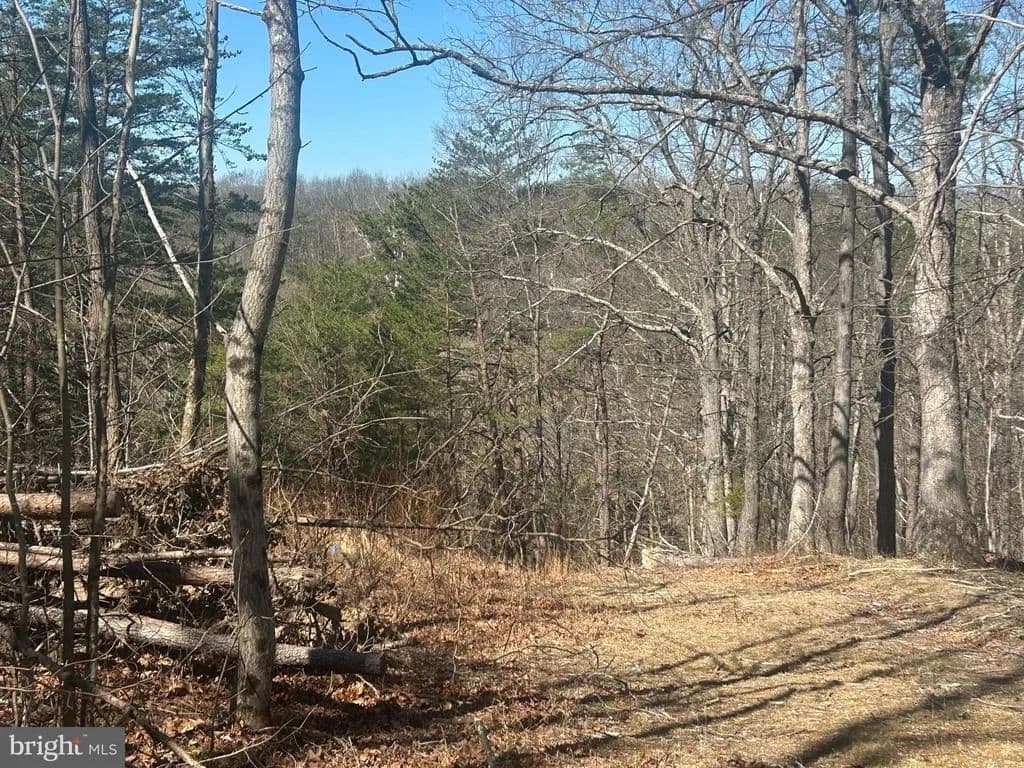 Property from ANDREWS ROAD - KW - Strasburg, Virginia, 22657