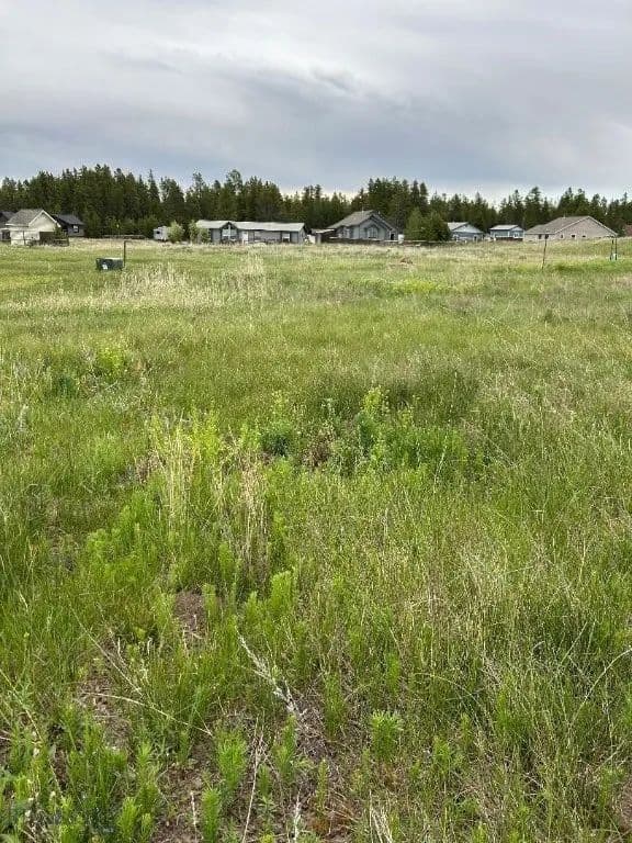 Property from TBD Buffalo Drive - KW - West Yellowstone, Montana, 59758