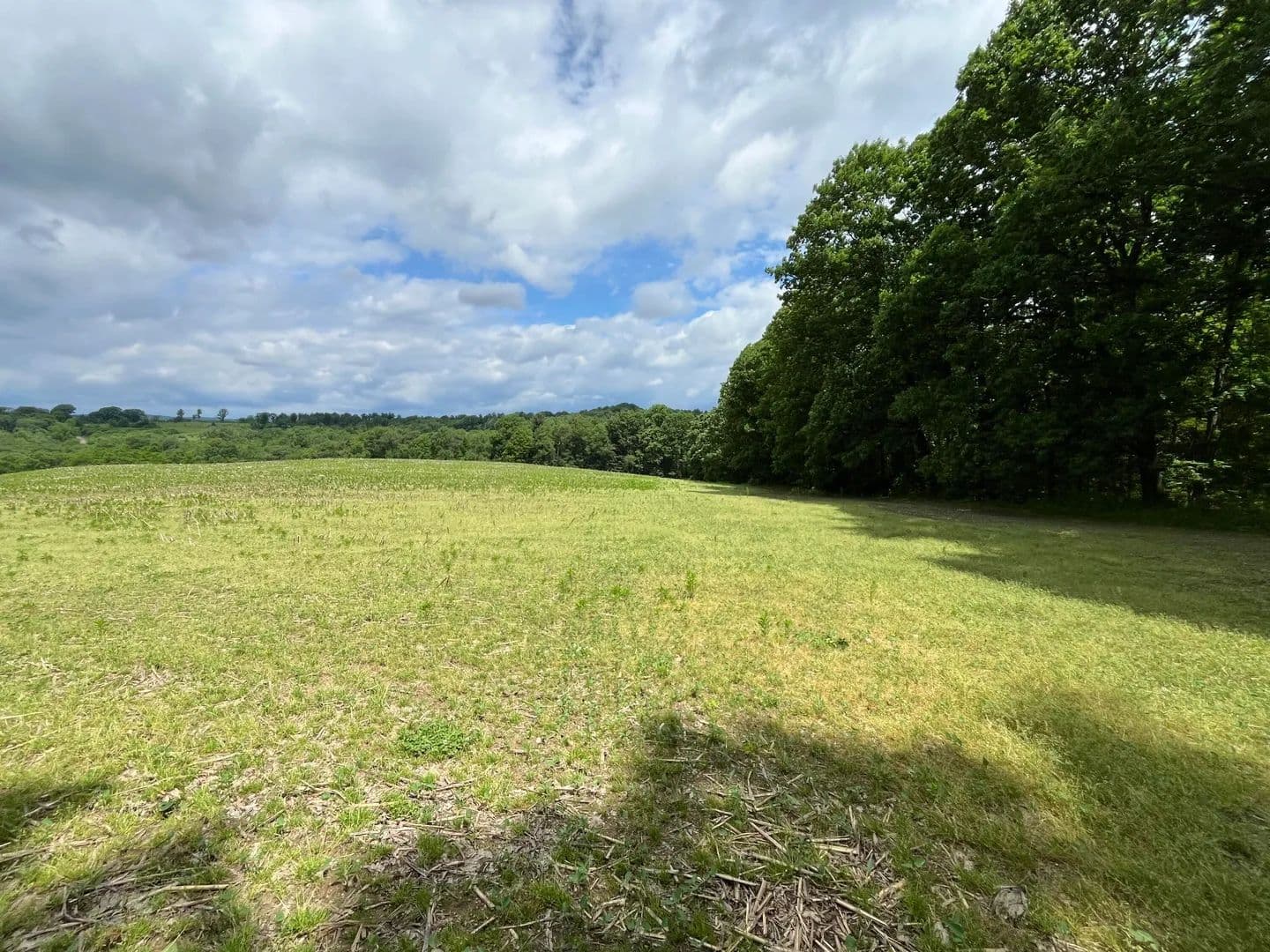 Property from 0 STRANGE ACRES LN - KW - Punxsutawney, Pennsylvania, 15767