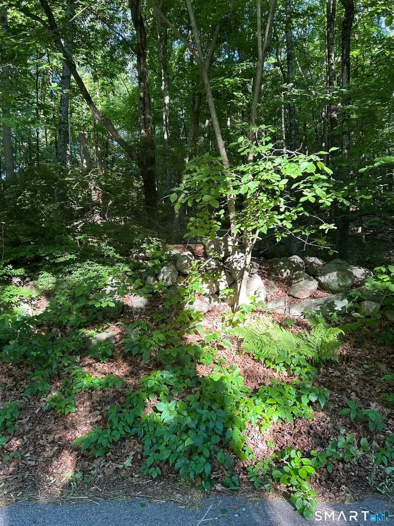 Property from Cobbs Mill Road - KW - Wilton, Connecticut, 6897