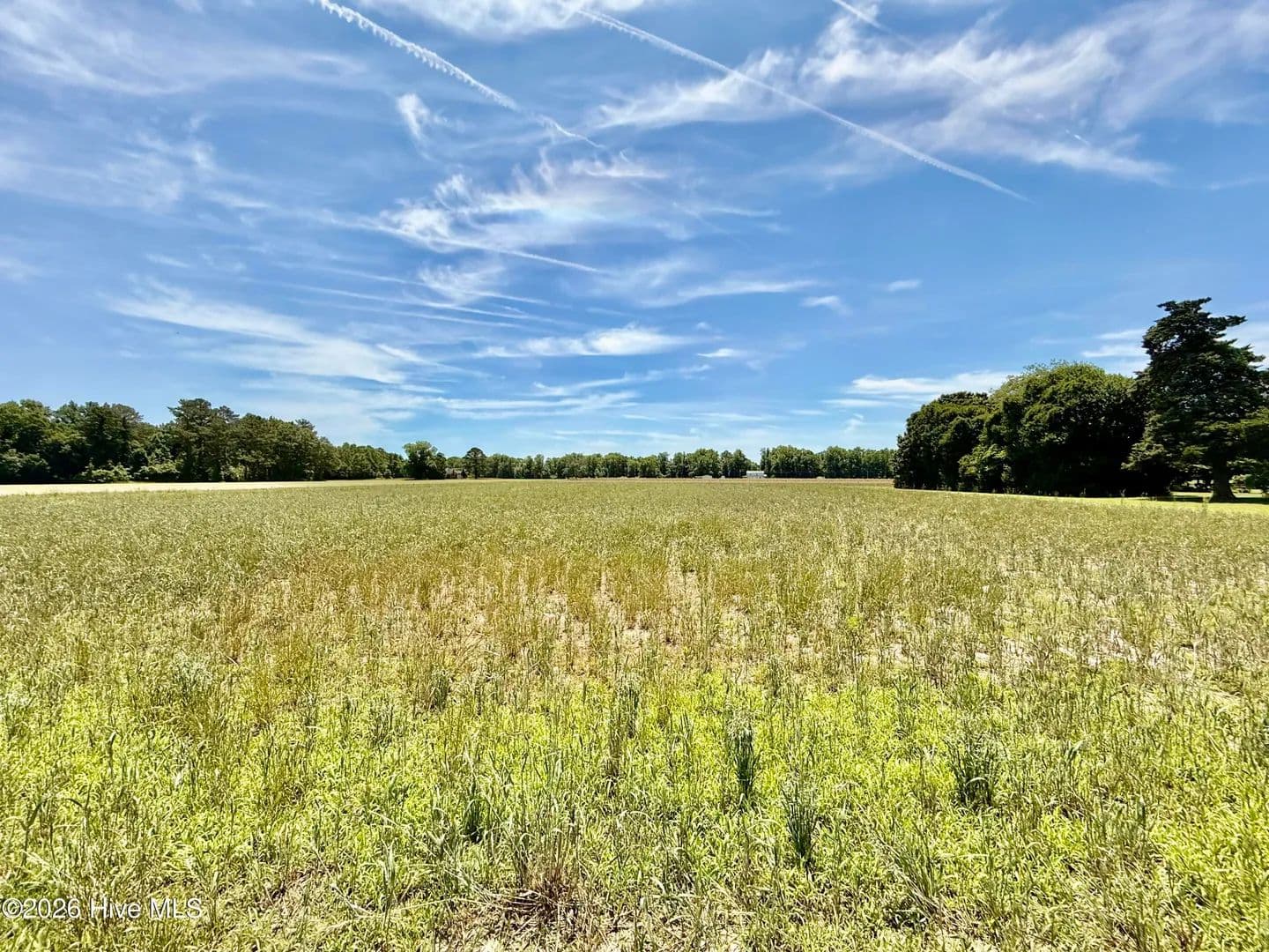 Property from 0 Kings Crossroads Road - KW - Fountain, North Carolina, 27829