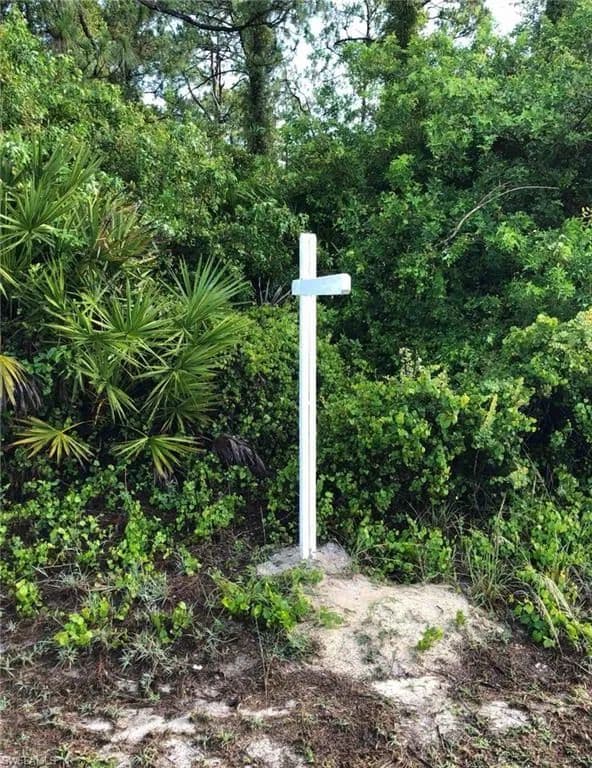 0.25 Acres of Land for Sale in Lehigh Acres, Florida - Lehigh Acres, Florida, 33972