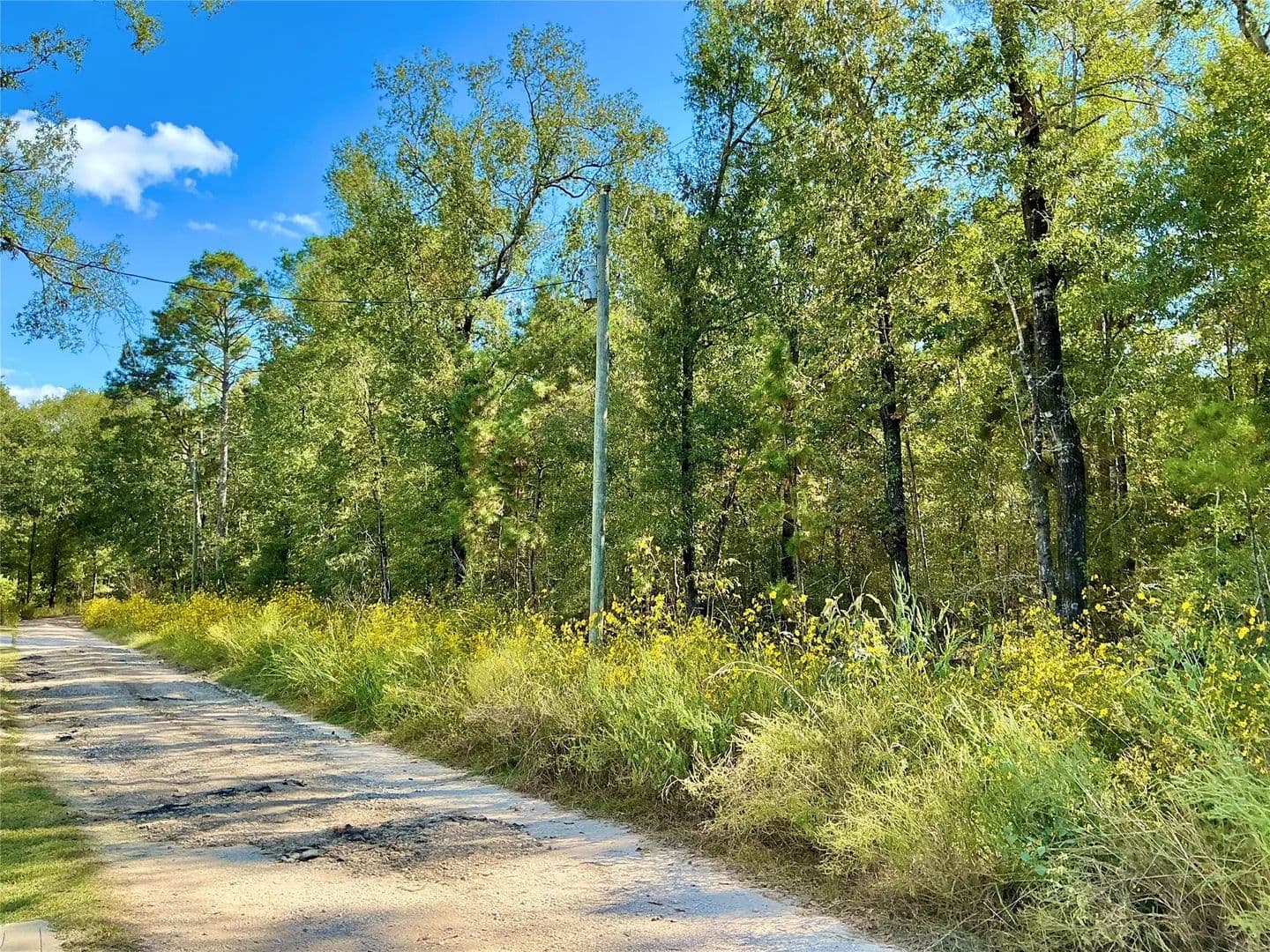 9.9 Acres of Land for Sale in Livingston, Texas - Livingston, Texas, 77351