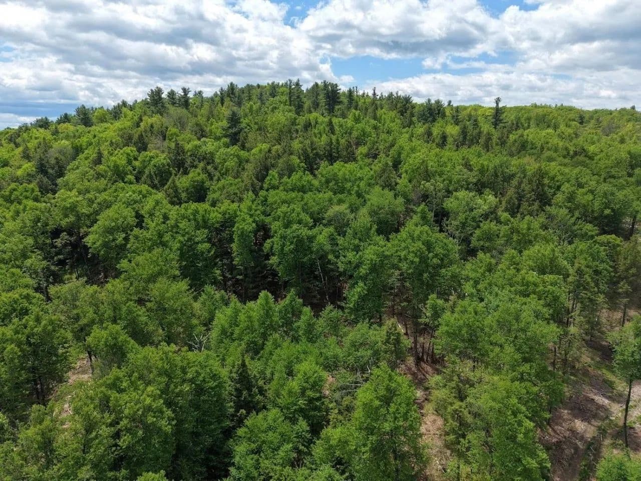 Vacant Land in Westmoreland - Westmoreland, New Hampshire, 3467