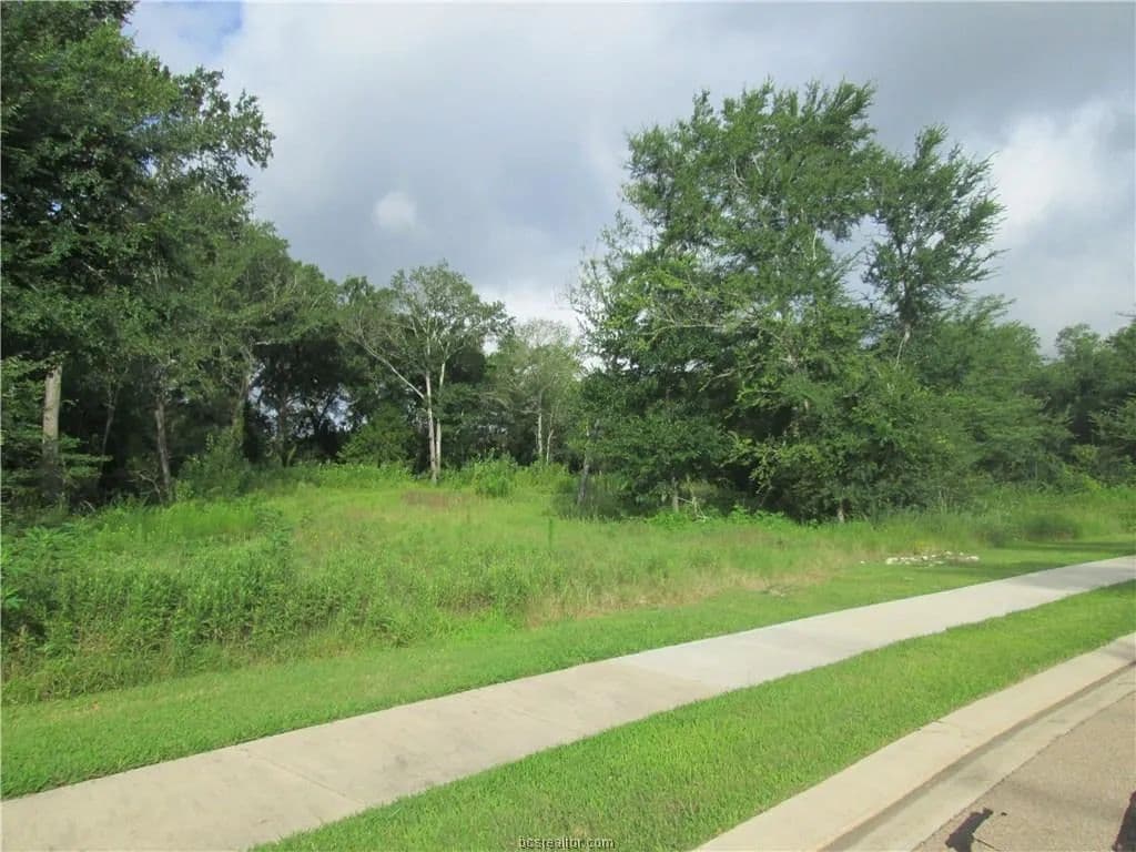 0.52 Acres of Land for Sale in Bryan, 3102 Palmetto Trail - 77807