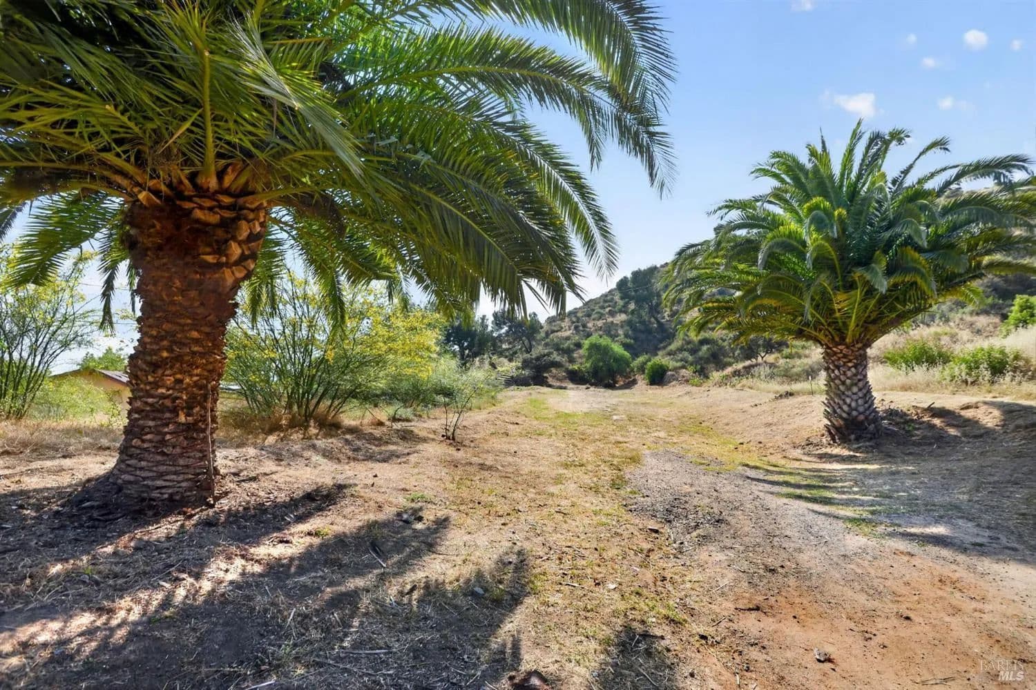 Property from Rising Hill Road - KW - Altadena, California, 91001