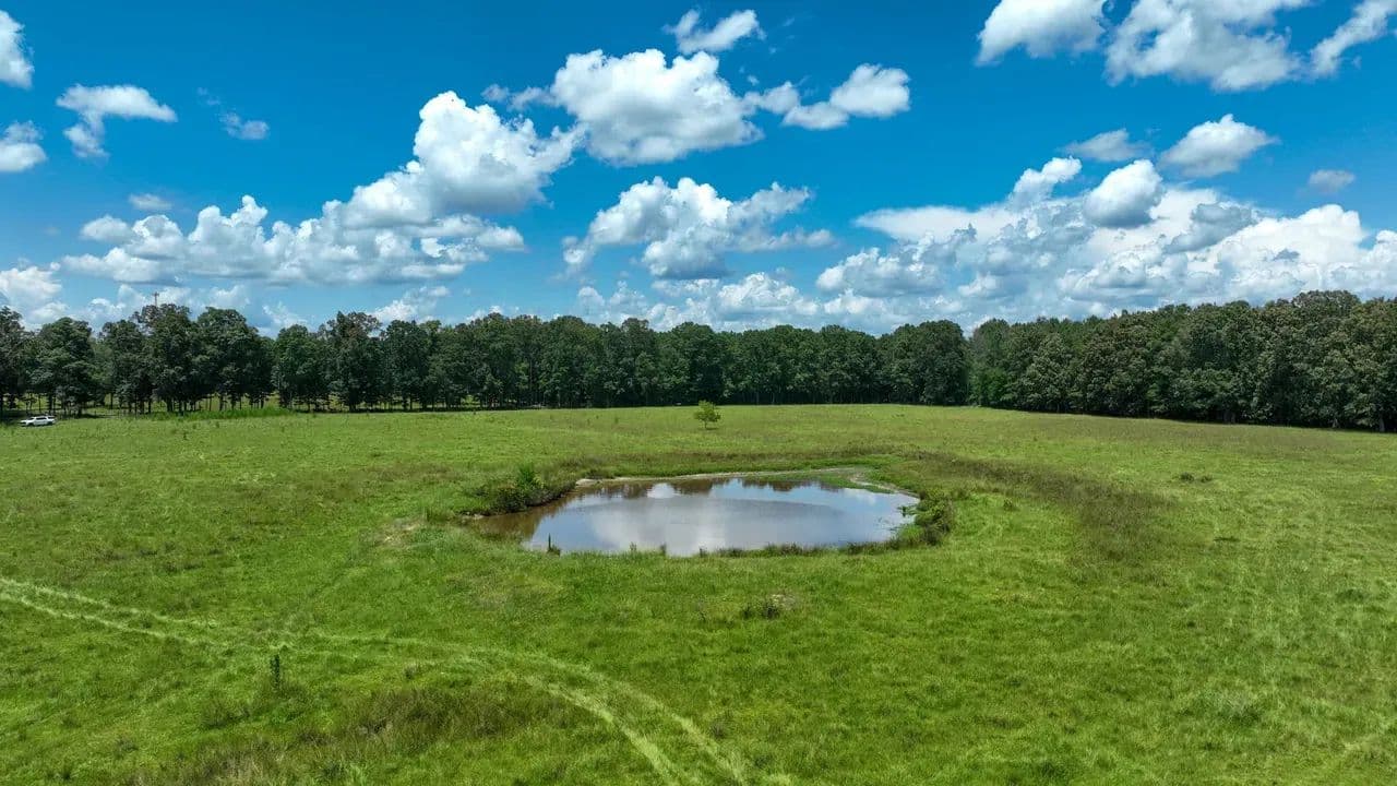 Clay County MS - Pine Grove Road 45.5 Cedar Bluff - Cedar Bluff, Mississippi, 39741