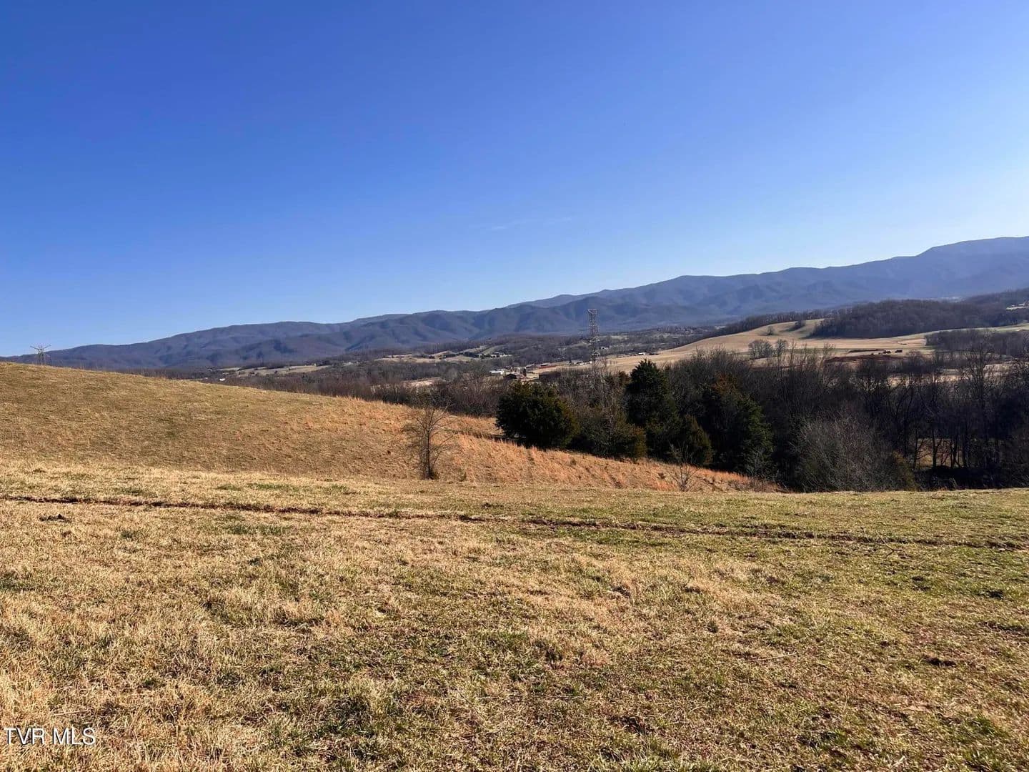 56 Acres of Land for Sale in Limestone, Tennessee - Limestone, Tennessee, 37681