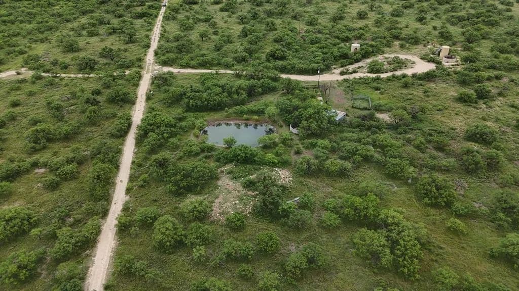 Property from TBD W Hwy 190 - KW - Eldorado, Texas, 76936