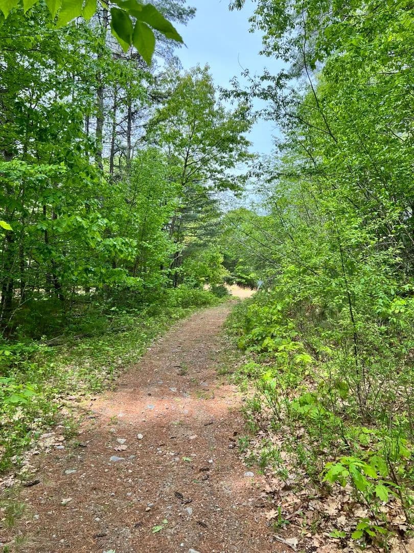 10 Acres of Land for Sale in Topsham, Maine - Topsham, Maine, 04086