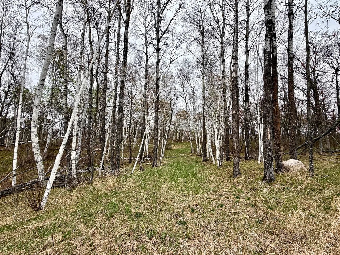 Land -Single Family Acreage in Bemidji - Bemidji, Minnesota, 56601