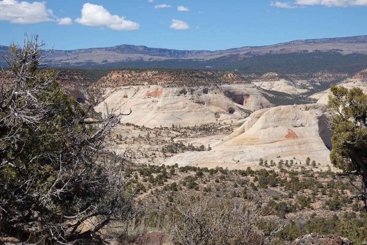 11.27 Acres of Land for Sale in Boulder, UT - Boulder, Utah, 84716