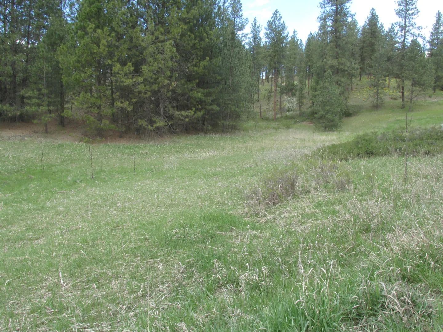 Property from 1011 WESTOVER RD - KW - Colville, Washington, 99114