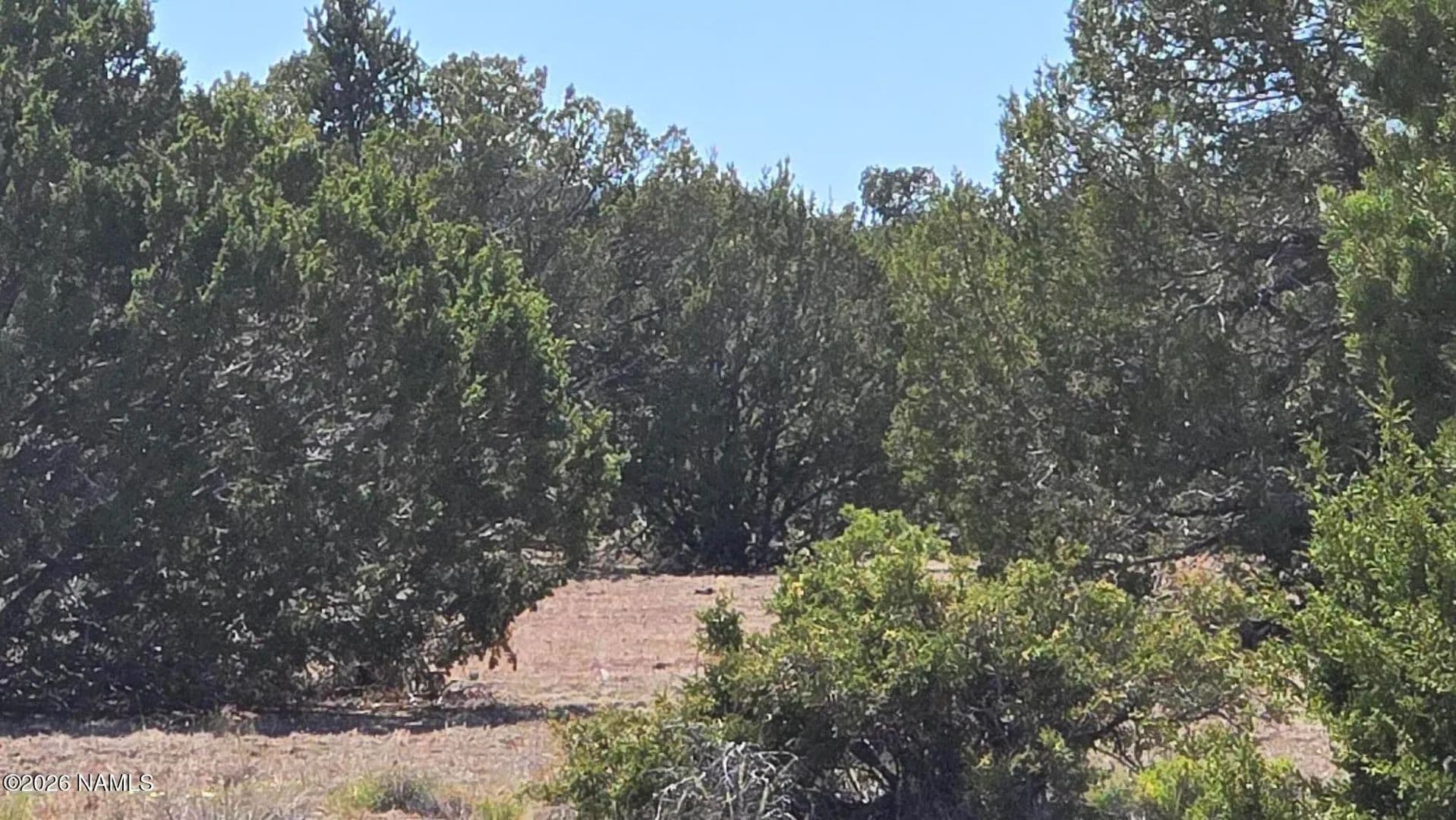 Property from 8012 Daisy Drive - KW - Williams, Arizona, 86046