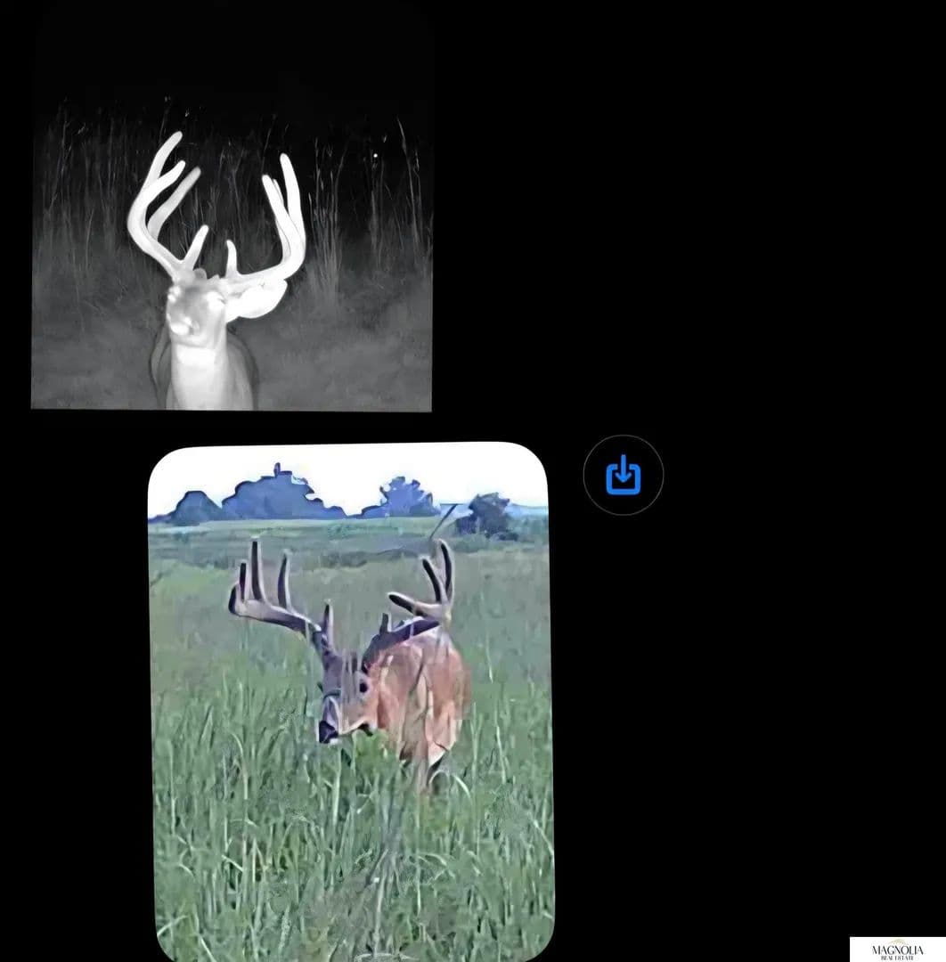 160 Acres of Land for Sale in Nemaha, Nebraska - Nemaha, Nebraska, 68414