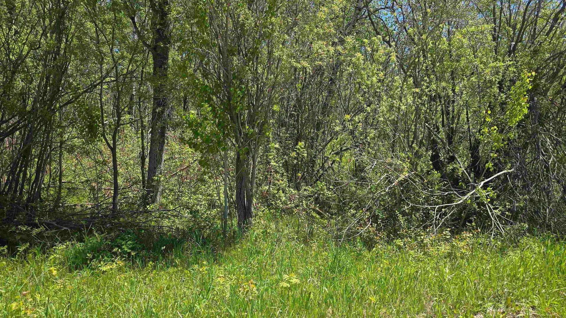 Property from 00 VL Mill Street - KW - , Michigan, 49755