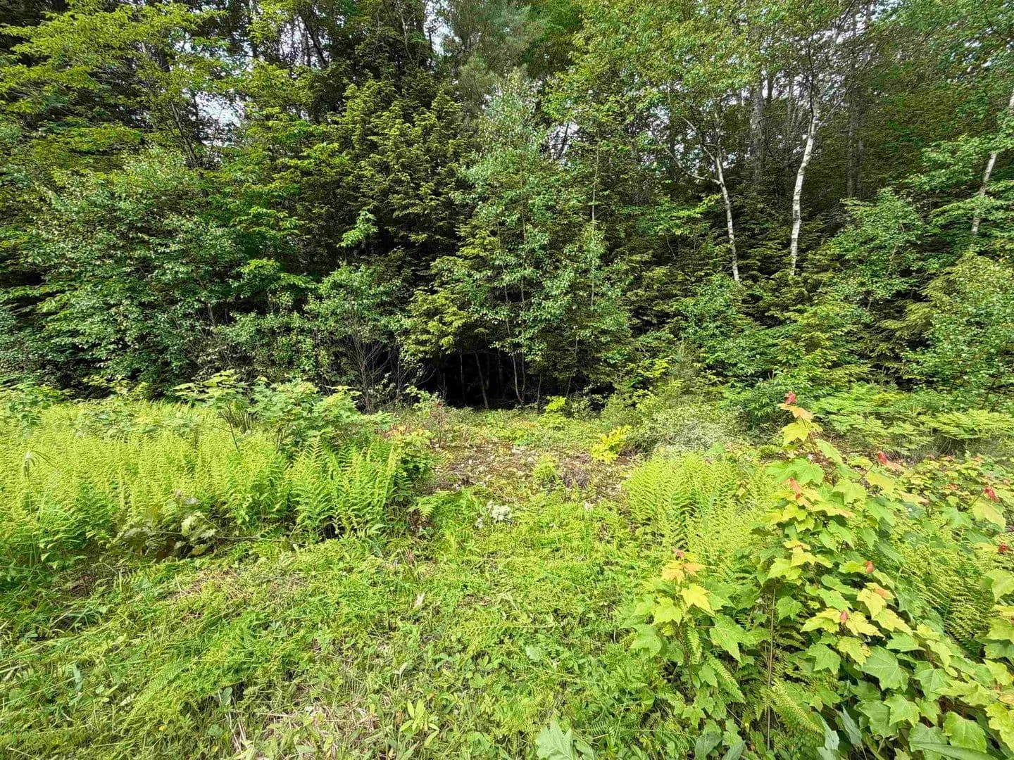 Property from Mountain View Drive - KW - Thornton, New Hampshire, 3223