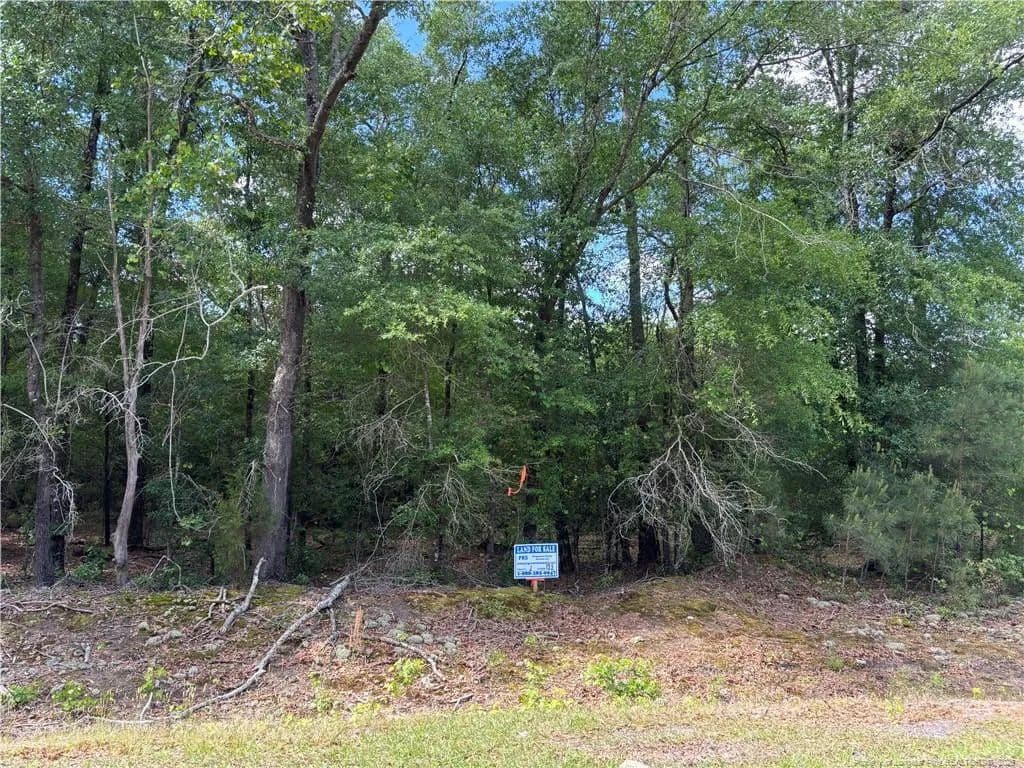 Property from Johnson Road - KW - Fayetteville, North Carolina, 28312