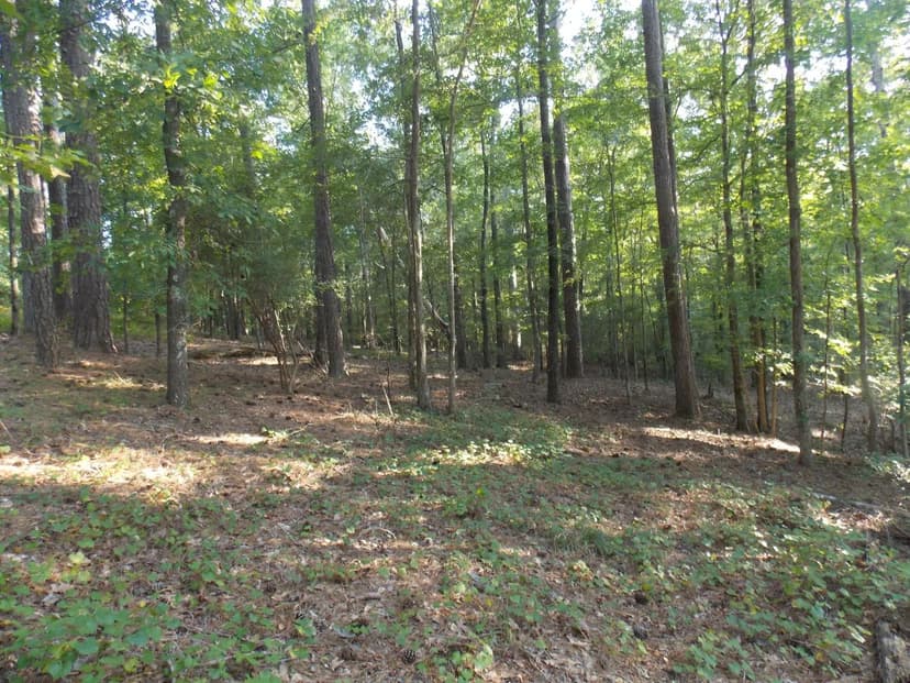 Lots & Land-Other in Lincolnton