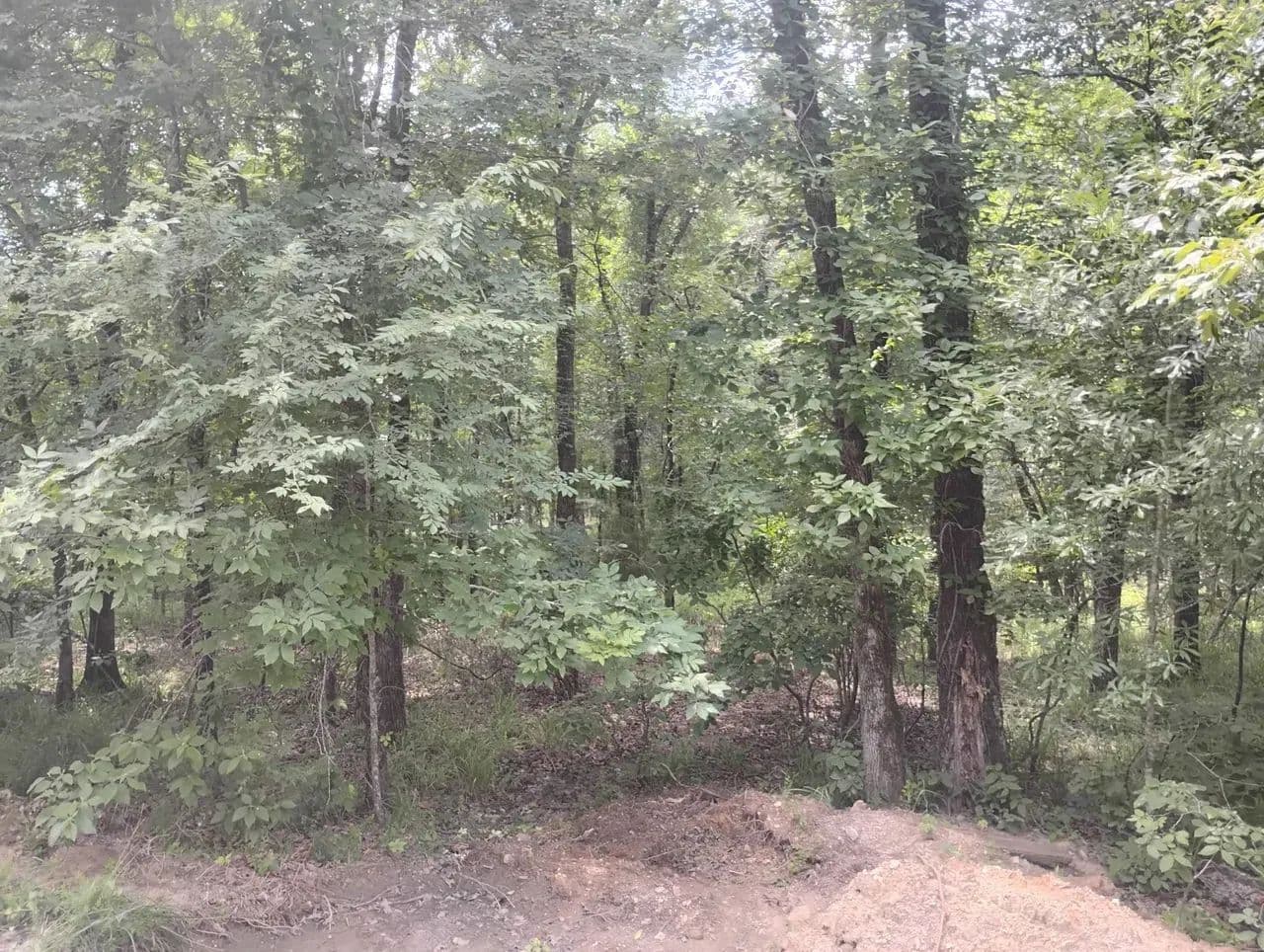 Cabin building lot in Resort town of Hochatown Ok - Hochatown, Oklahoma, 74728