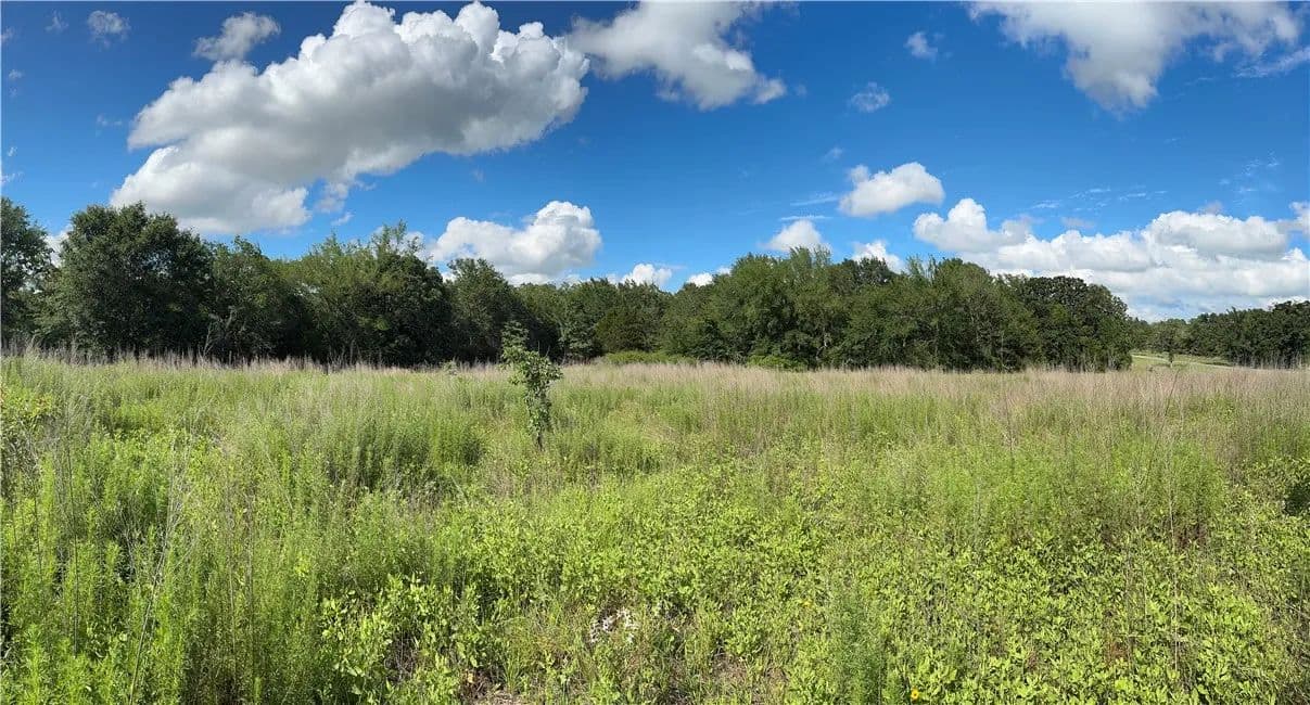 29 Acres of Land for Sale in Franklin, Texas - Franklin, Texas, 77856