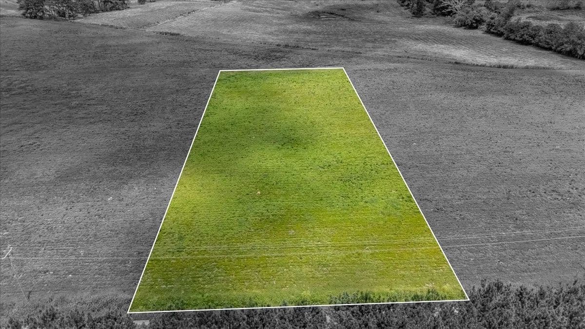 Vacant Land in Leoma - land for sale