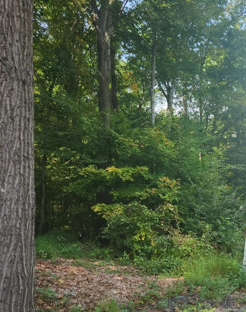 Property from Lot 13 Waterbury Road - KW - Cheshire, Connecticut, 6410