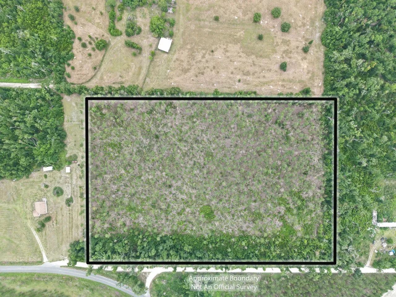 Wright Lot 4 - Mayo, Florida, 32066