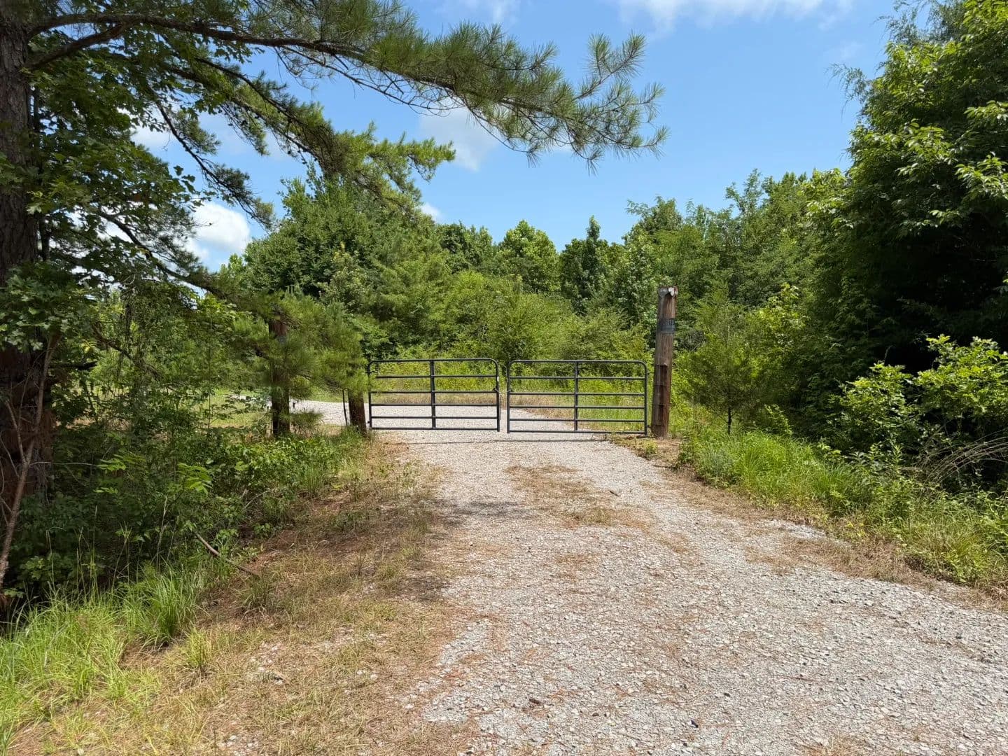 173 Acres in Carroll and Holmes County in West, MS - West, Mississippi, 39192