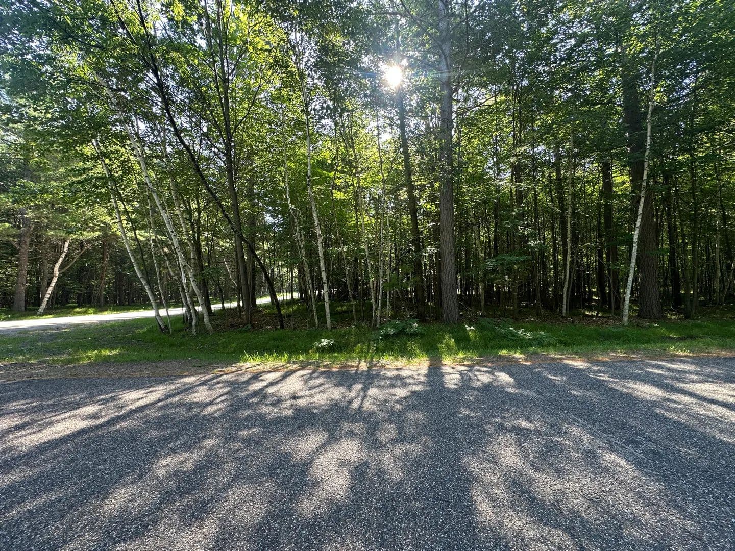 Land -Single Family Acreage in Arbor Vitae - Arbor Vitae, Wisconsin, 54568