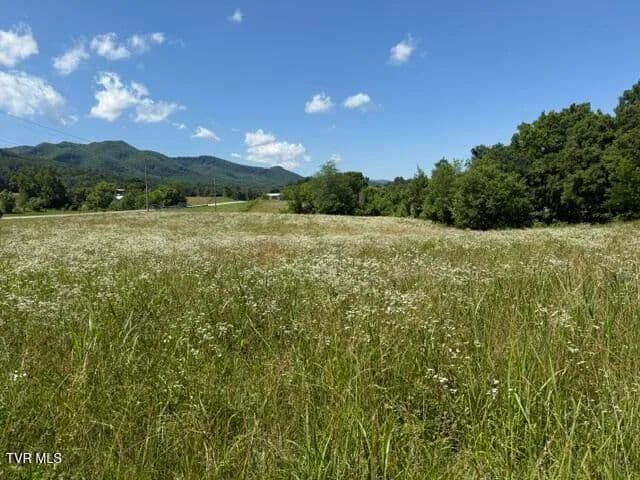 46.5 Acres of Land for Sale in Jonesborough, TN - Jonesborough, Tennessee, 37659