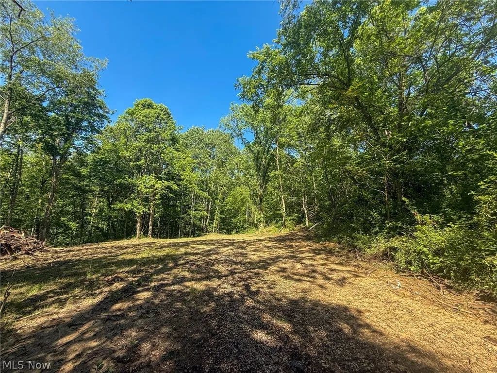 22.85 Acres of Land for Sale in Chesterhill, OH - Chesterhill, Ohio, 43728