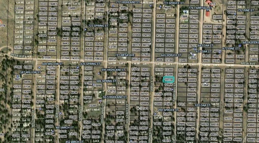 0.17 Acres of Land for Sale in Hartsel, Colorado - Hartsel, Colorado, 80449