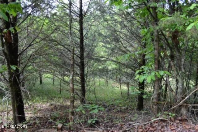 Property from 9ac Circle Road Rd - KW - Burkesville, Kentucky, 42717