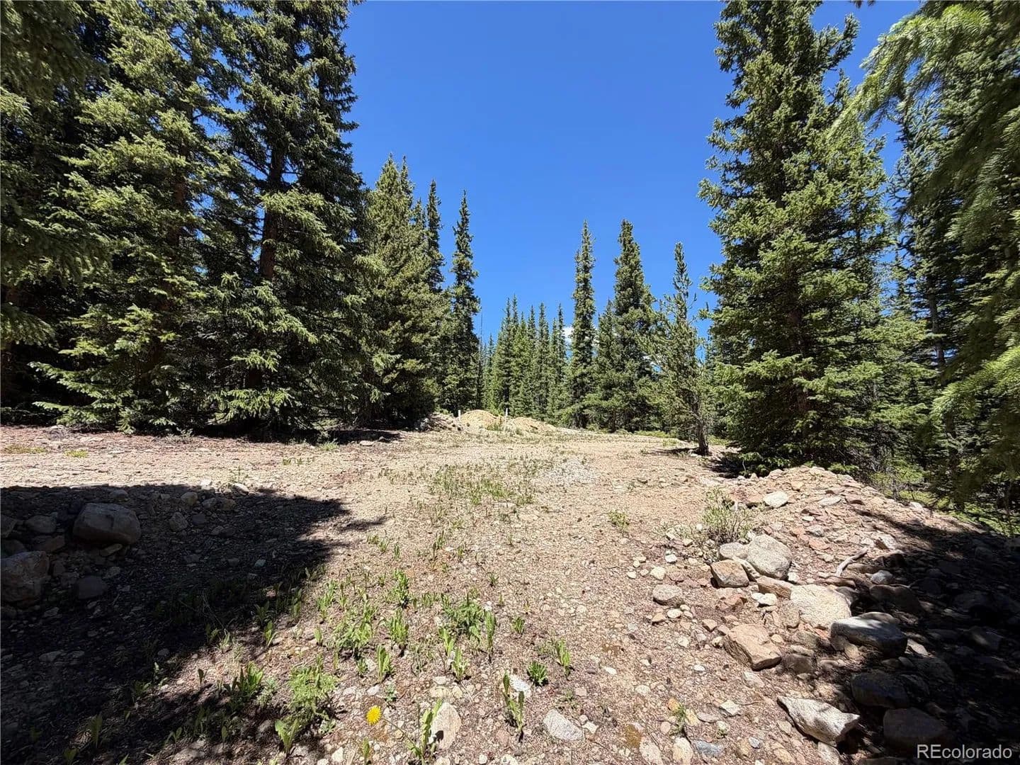 1 Acre of Land for Sale in Fairplay, CO - Fairplay, Colorado, 80440