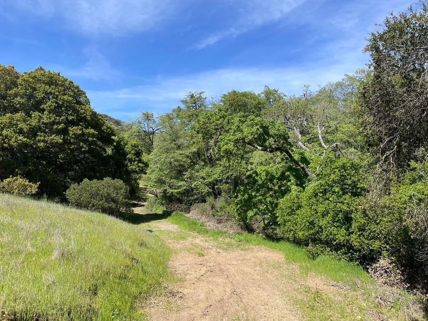 Property from Green Valley Lane #Lot 6 - KW - Green Valley, California, 94534