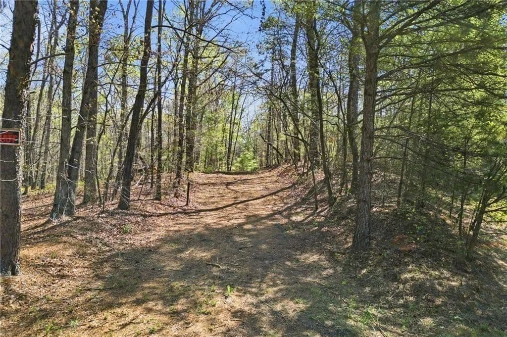 Land -Single Family Acreage in Ball Ground - land for sale